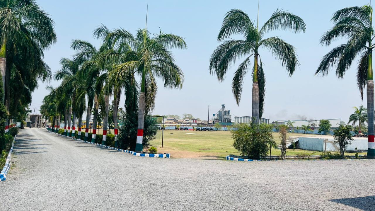 Play Ground